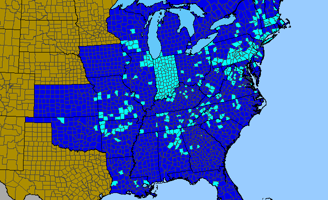 The range of Sedum sarmentosum